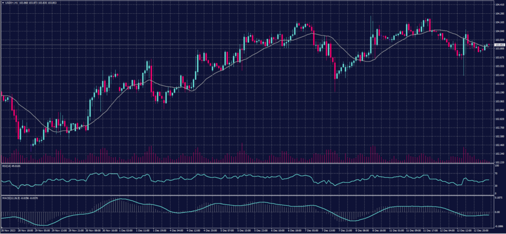 USDX 13