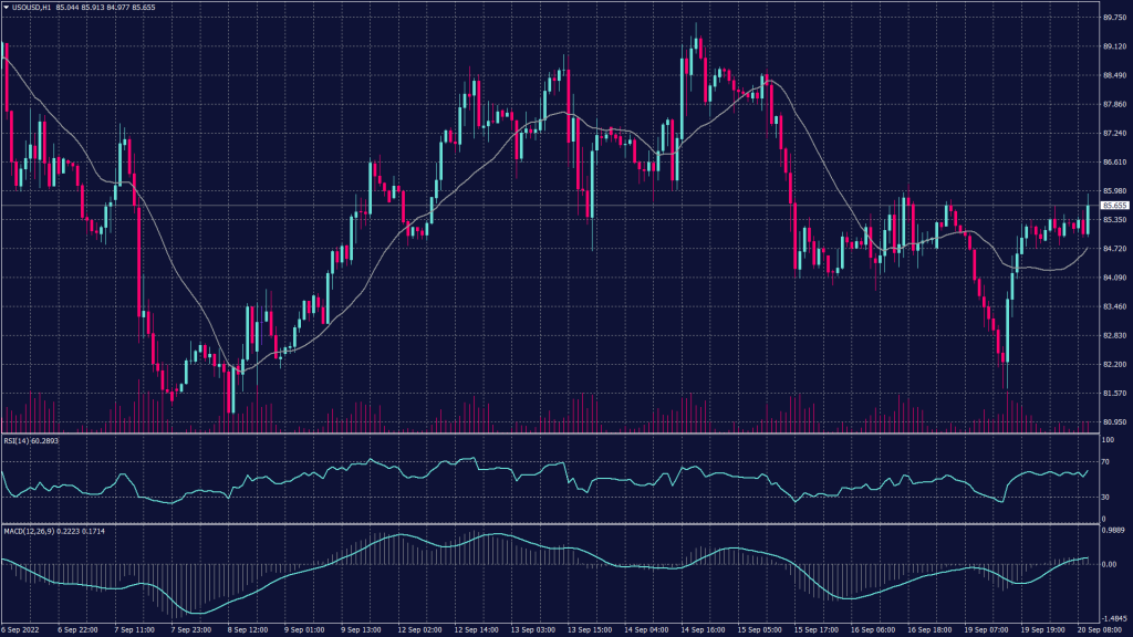 WTI crude oil chart shows it was at $85.60 a barrel, down 0.2%.